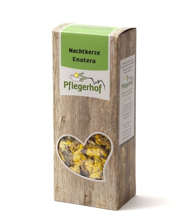 Nachtkerze
