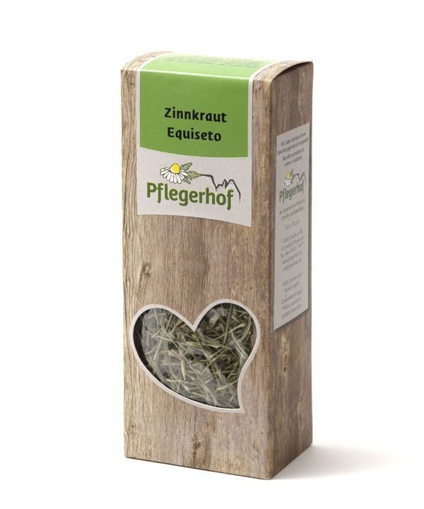 Zinnkraut