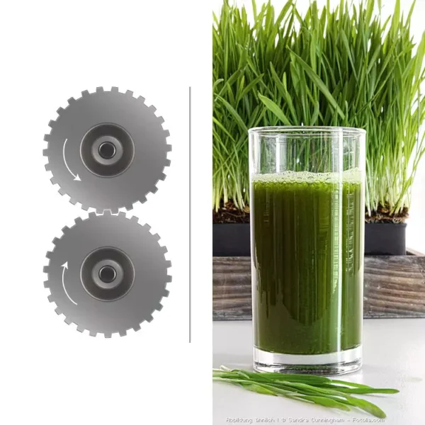 Tribest Greenstar Elite - Saftpresse – Bild 5